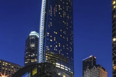 View From Below